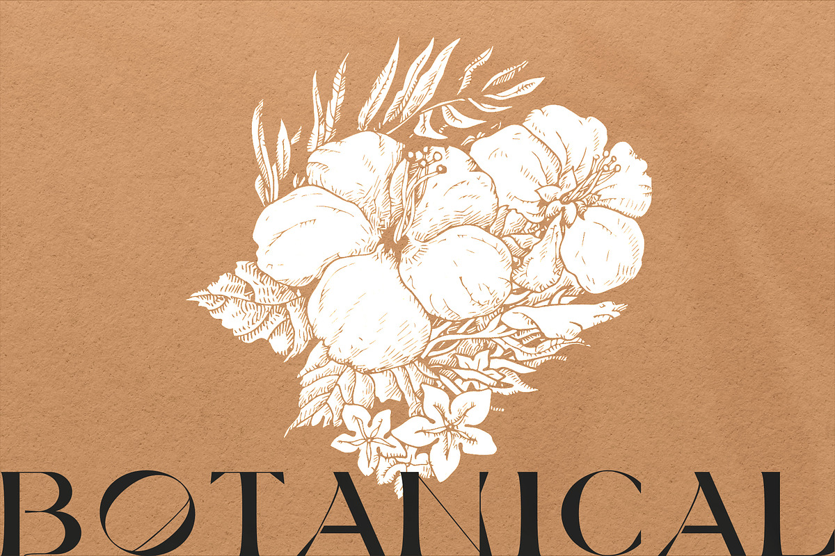 Tropica Collection, a Seasonal Illustration by Michael Rayback Design (Photo 10 of 15)
