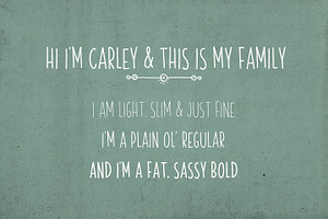 Skinny Font Family Carley & Co.