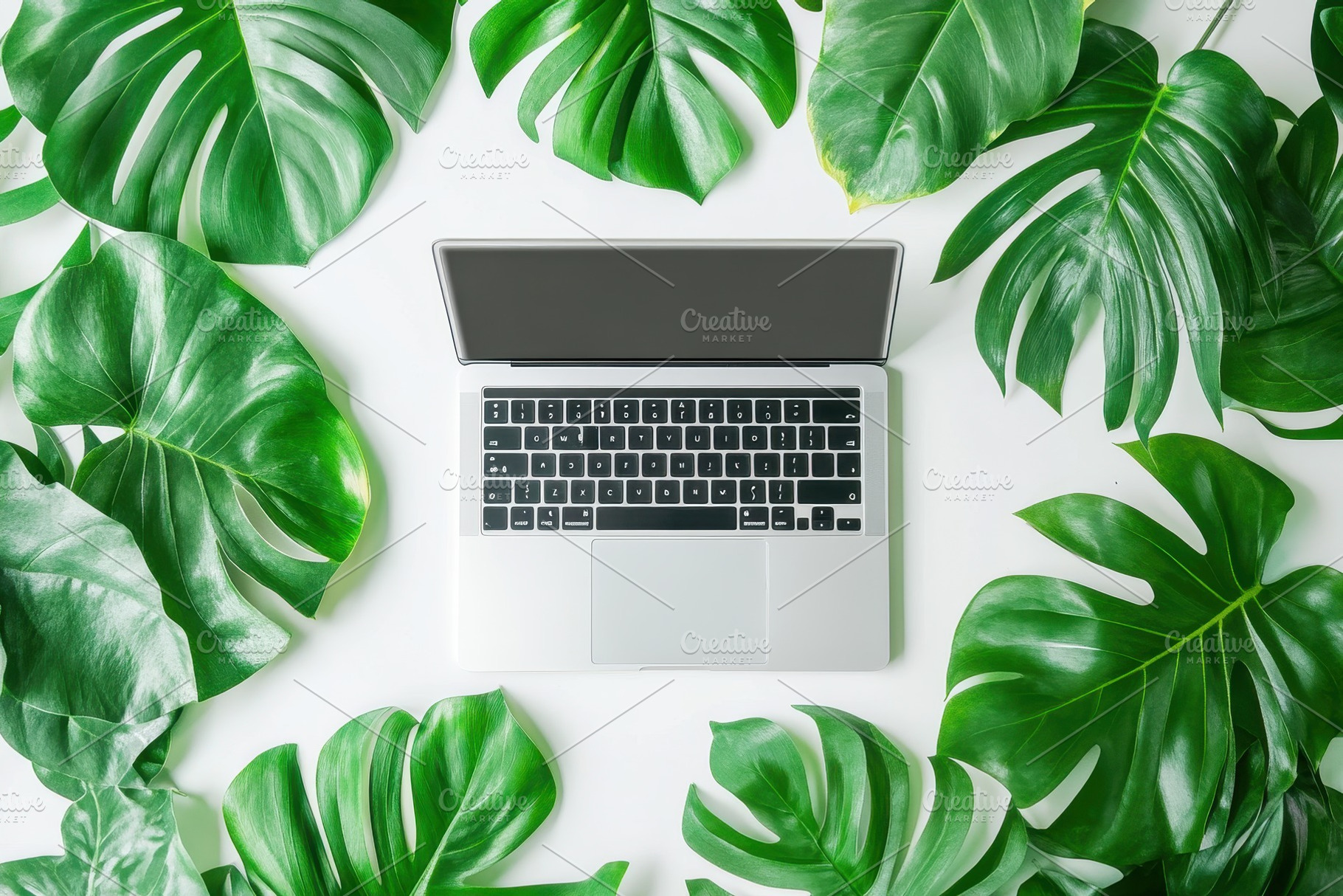Modern laptop mockup green leaves, a Photo by Pavel_design