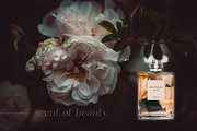 Elegant serif font family Angele, a Serif Font by Angele Kamp (Thumbnail 2 of 9)