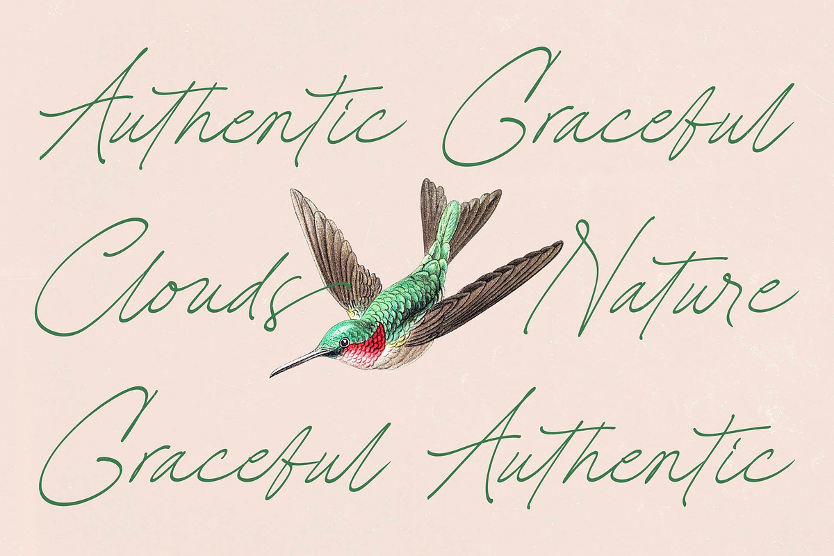 Straight Others Aesthetic Script, a Script Font by stylishtype.co (Photo 3 of 15)