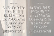 Role Model | Contemporary Serif, a Serif Font by Ef Studio (Thumbnail 13 of 13)