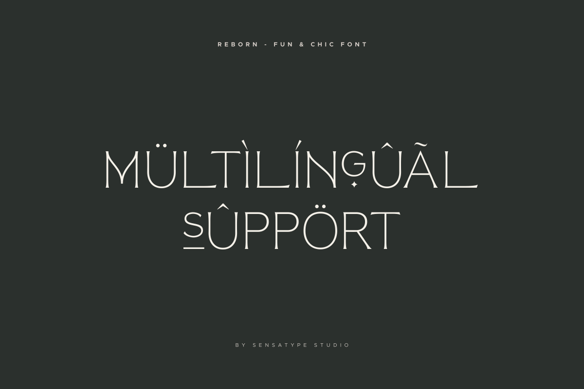 Reborn - Modern Chic Font, a Serif Font by Sensatype (Photo 14 of 16)
