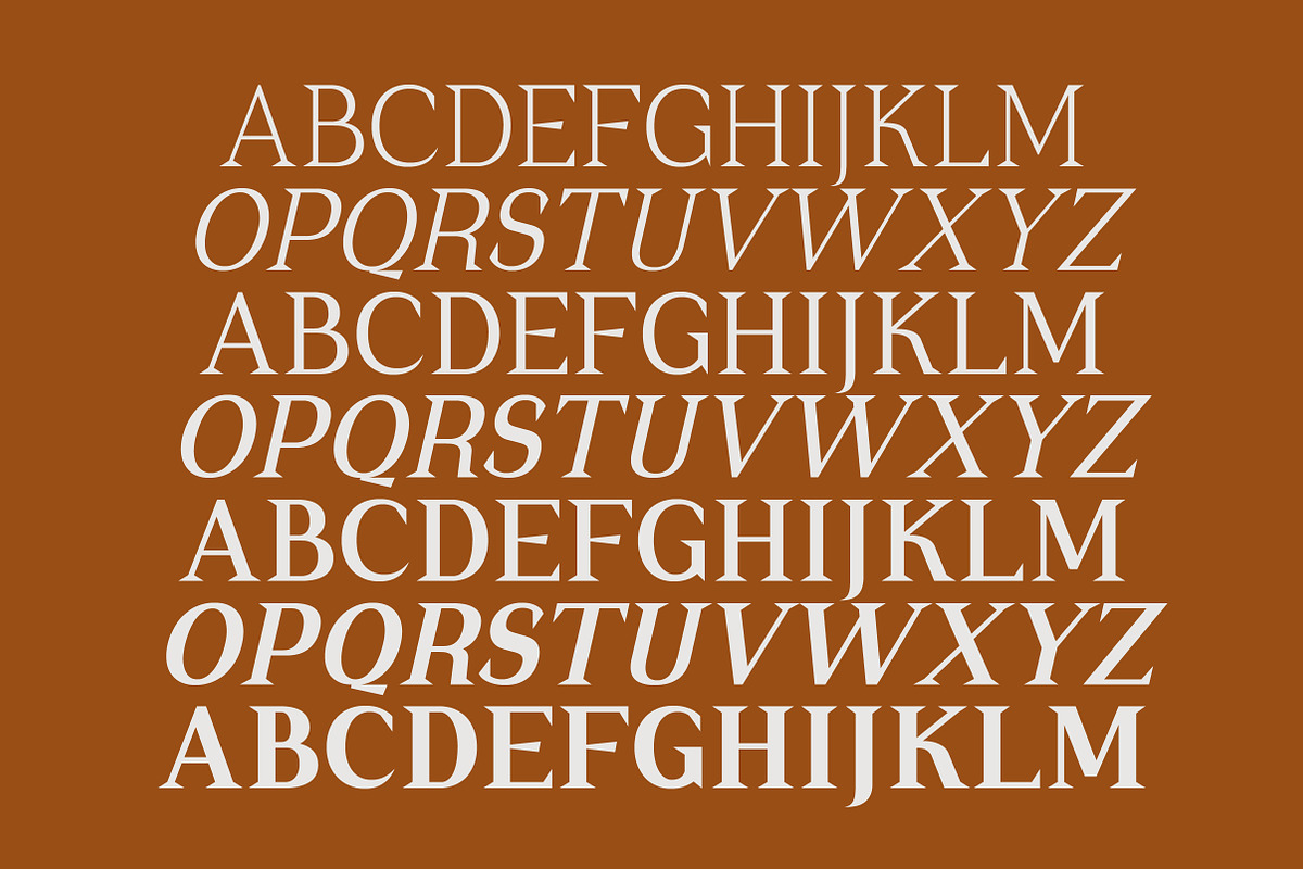Cirvia Timeless & Fresh Serif Family, a Serif Font by Lettertype Studio (Photo 13 of 15)