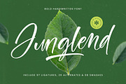 Junglend Bold Handwritten Font, a Script Font by stylishtype.co (Thumbnail 1 of 20)