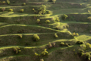 Green terraces on a mountain slope, a Nature Photo by Schreibikus