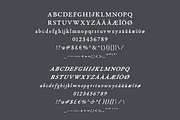 Fabello: A Hand-Lettered Serif Font, a Serif Font by Britt Fabello (Thumbnail 7 of 8)