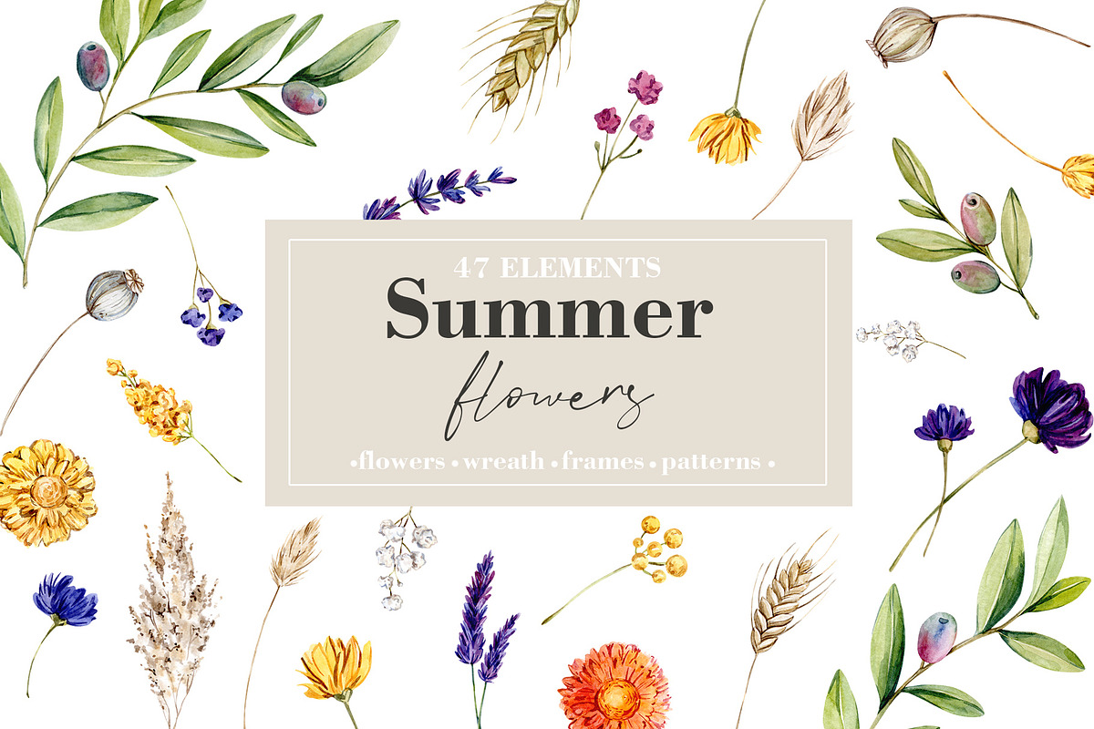 Summer Flowers Collection, an Illustration by S_ARTLOVE (Photo 1 of 8)