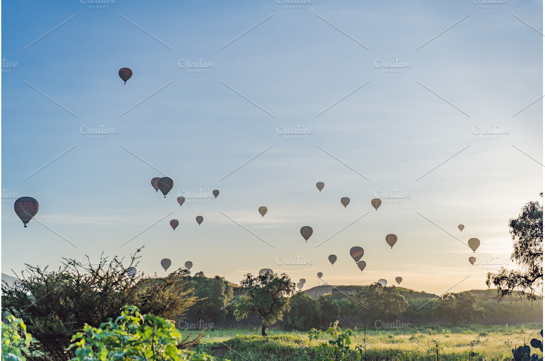 Colorful hot air balloons floating, an Architecture Photo by Elizaveta Galitskaya