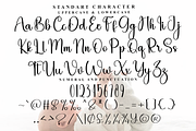 Wonderful Handmade, a Handwritten Font by FreshTypeINK (Thumbnail 5 of 8)
