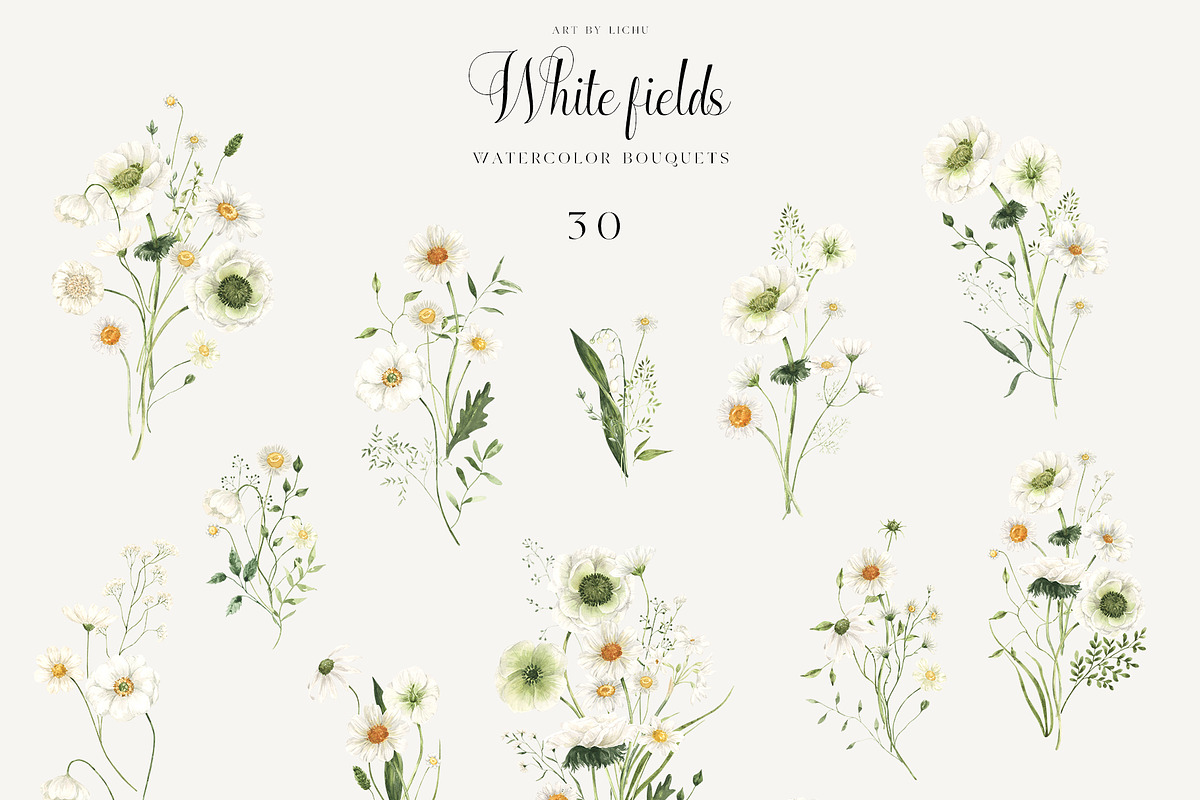 White Fields wildflowers flora, an Education Illustration by LiChu Art (Photo 11 of 12)