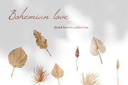 Bohemian Roses and Dried Leaves, an Illustration by Backyard Rose (Thumbnail 5 of 16)