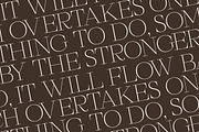 Galiken Modern Elegant Serif, a Serif Font by Letterena Studios (Thumbnail 10 of 15)