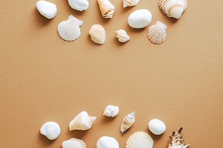 Frame made of seashells, a Holiday Photo by photoguns
