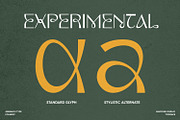 Maryone Font, a Serif Font by Asenbayu (Thumbnail 11 of 15)
