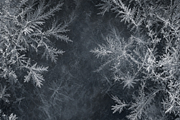 ETARA Winter Ritual Kit, an Object Graphic by ETARA by Mea Hau (Thumbnail 20 of 79)