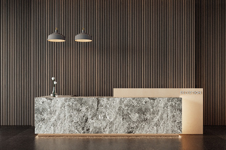 Luxury modern reception desk, an Architecture Photo by TONTECTONIX