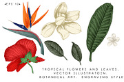 Tropical flowers. VECTOR, a Pattern Graphic by ollalya (Thumbnail 5 of 8)