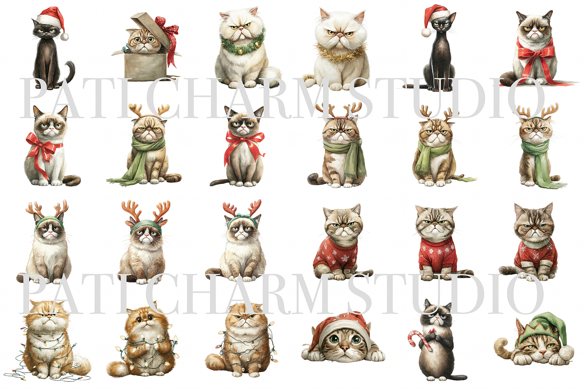 25 Christmas Cat Clipart, an Animal Illustration by Pati Charm Studio (Photo 2 of 8)