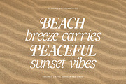 The Raffined Serif | Editorial Font, a Serif Font by Typoraith Co (Thumbnail 9 of 12)