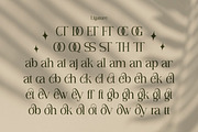 Vianeka -  Modern Luxury Serif Font, a Serif Font by Flawless And Co (Thumbnail 10 of 10)