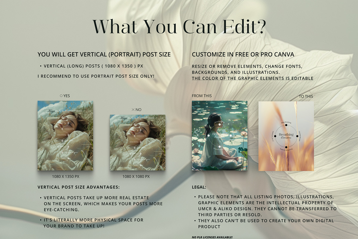 Wellbeing Coach Template - IG Canva, a Social Media Template by Under My Cozy Roof (Photo 7 of 11)