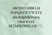 ELAYNE - Display Serif Font, a Serif Font by Hybridbee Design (Thumbnail 7 of 10)