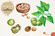 Watercolor Vegetables, Herbs, Green, an Animal Illustration by Graphobia (Thumbnail 10 of 11)