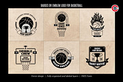 Badges or Emblem Logo for Basketball, a Branding & Logo Template by C-Kav (Thumbnail 1 of 4)