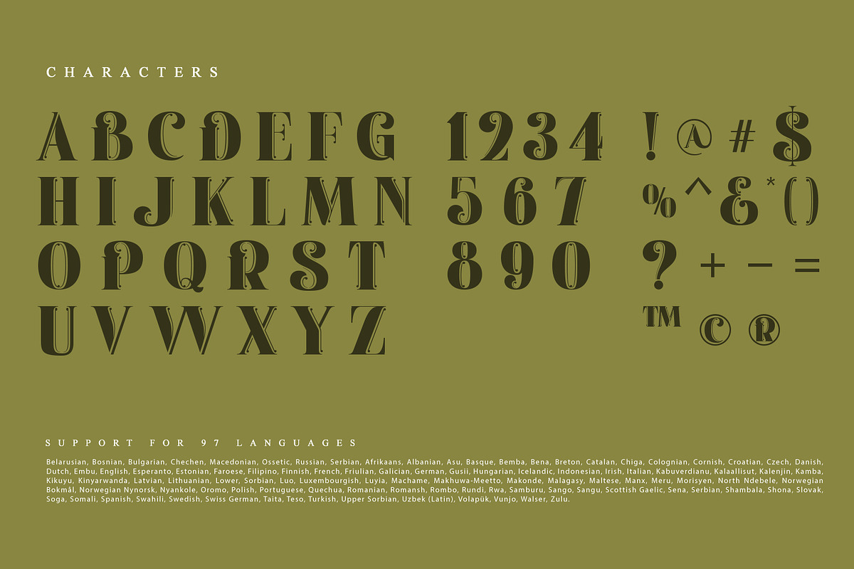 Moirt, a Serif Font by Nathatype (Photo 7 of 11)