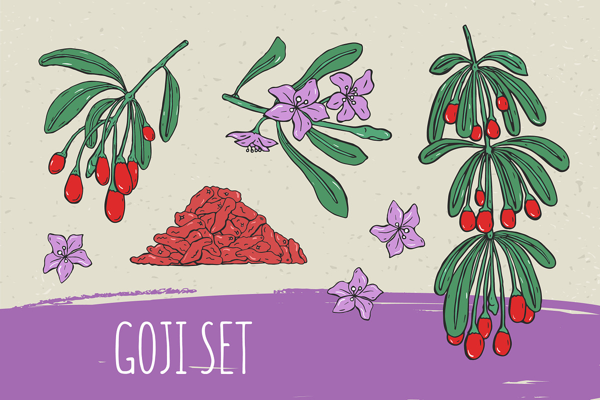 Goji berries set, seamless patterns, a Food Illustration by Good Studio (Photo 1 of 9)
