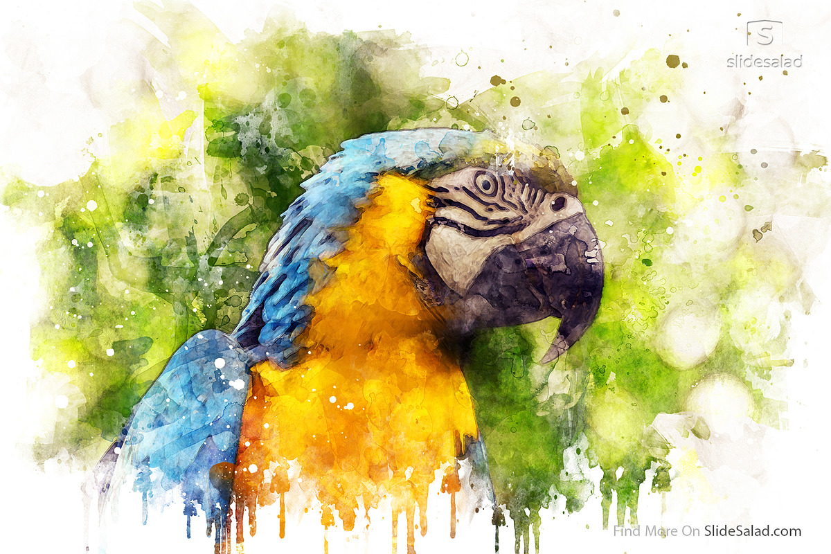 #1 Watercolor Photoshop Mock-ups, an Action Add-On by SlideSalad (Photo 16 of 44)