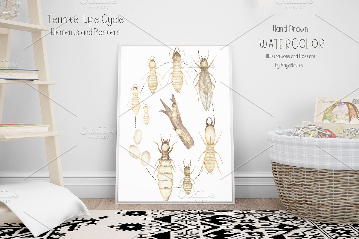 Watercolor Life Cycle Collection, an Education Illustration by MayaNavits (Photo 4 of 15)