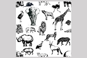 Wild Animals 3, an Animal Illustration by Ecaterina Sciuchina (Thumbnail 3 of 5)