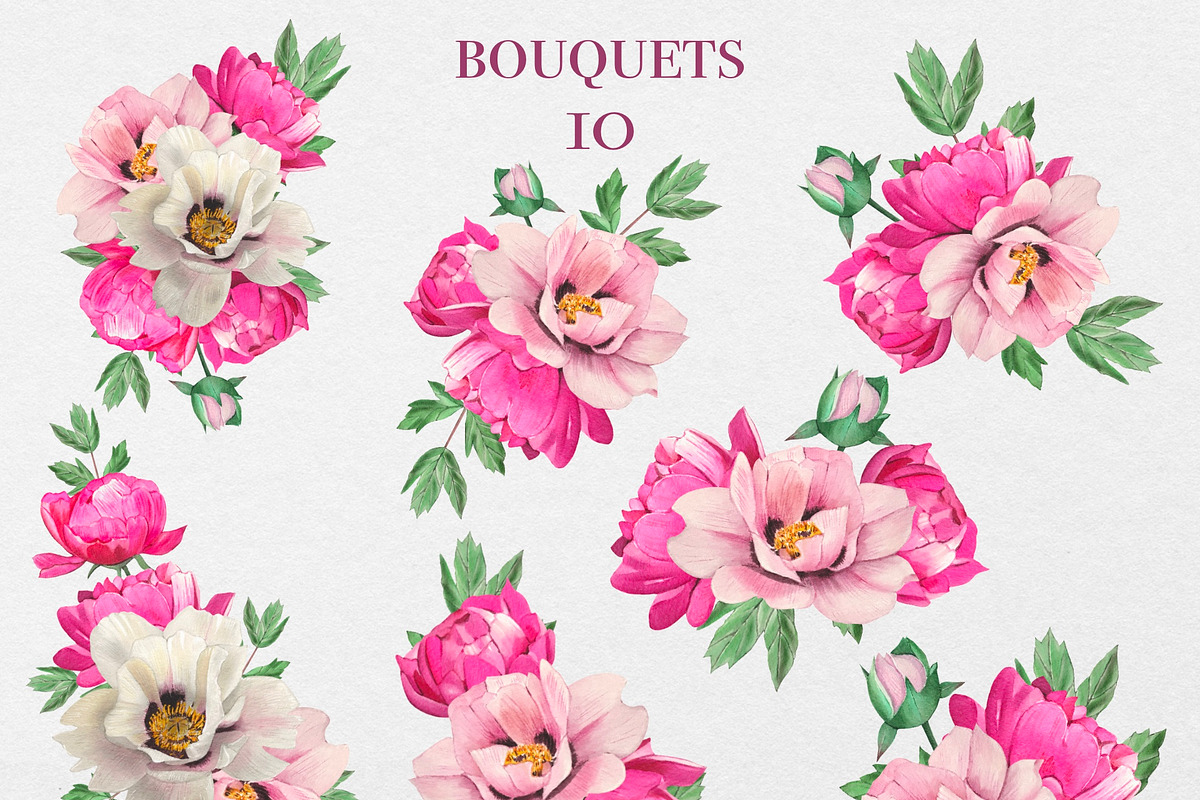 Watercolor Pink Peonies Clipart, an Object Graphic by DiashaArt (Photo 3 of 10)