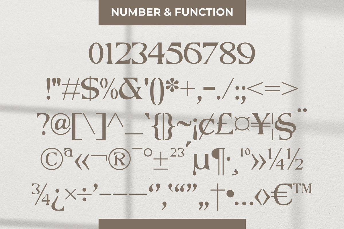 Reyka - Stylish Display Serif, a Serif Font by Hakara Type (Photo 6 of 9)