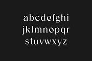 Giblastine Modern Serif Display Font, a Serif Font by UICreative (Thumbnail 5 of 13)