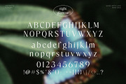 Night Glamour Classy Serif Font, a Serif Font by BrandSemut (Thumbnail 9 of 10)
