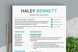 Editable RESUME Template / MS Word