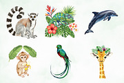 Watercolor Tropical Animals Clipart, an Illustration by Creative Art (Thumbnail 3 of 9)