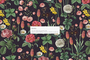 Vintage Roses English Floral Pattern