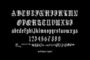 Carless Panther Blackletter (sale), a Blackletter Font by dansdesign (Thumbnail 3 of 5)