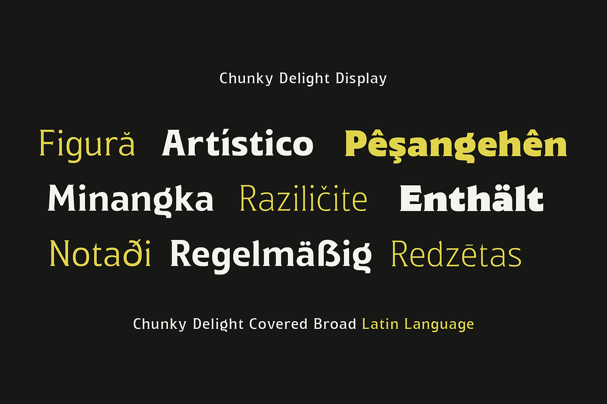 Chunky Delight, a Serif Font by Wildan Type (Photo 2 of 10)