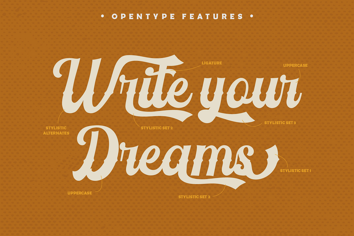 Vintage Feeling, a Script Font by Vintage Division (Photo 8 of 10)