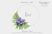 Watercolor Iris Birth Flower Clipart, an Illustration by Ksenia Shmakova (Thumbnail 6 of 6)