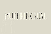 Meglona Modern and Stylish Serif, a Serif Font by Storytype Studio (Thumbnail 9 of 12)