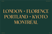 MGN Oregon, a Serif Font by Morgana Studio (Thumbnail 5 of 12)