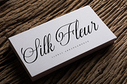Gastonia Script, a Font by Madjack.font (Thumbnail 4 of 8)