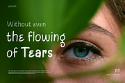 Kemuning Typeface, a Script Font by Phoenix Dungeon (Thumbnail 8 of 9)