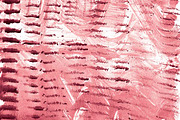 Hand Painted Lines, a Pattern Graphic by Liz Plummer (Thumbnail 4 of 5)